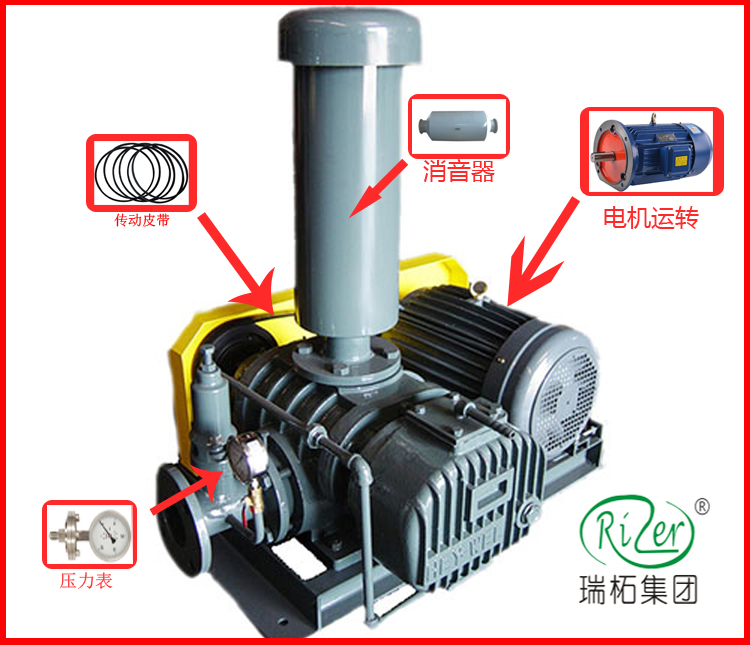 今年会罗茨风机结构简易分解图